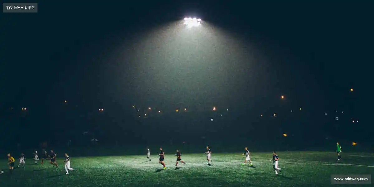 不朽情缘官网——⛵帆船扬帆，驭风破浪！🌊